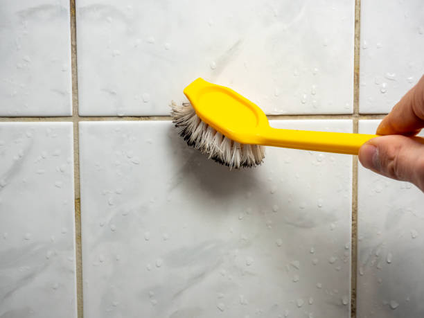 Home Mold Removal in Lewisville, TX