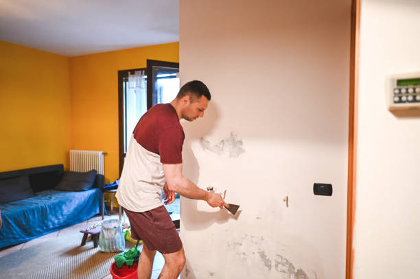 Lewisville, TX Mold Removal Company