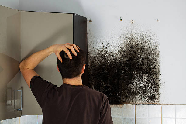 Best Attic Mold Removal  in Lewisville, TX
